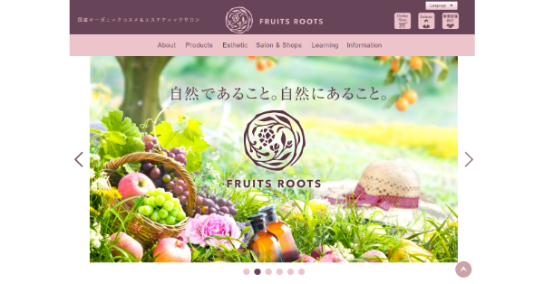 ES-ROOTS_HPキャプチャ